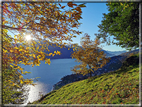 foto Lago di Como